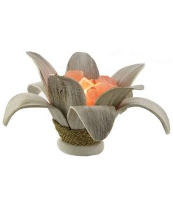 Braciere di sale margherita con foglie di cocco decapate