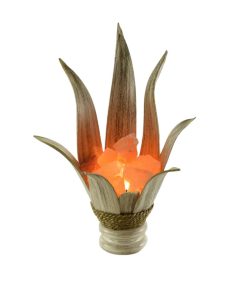 Braciere di sale ninfea con foglie di cocco decapate