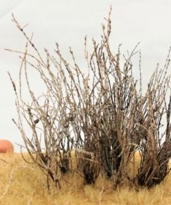 New Micro rami super pro Diorama Landscape
